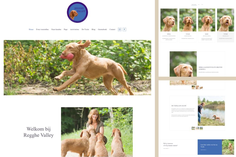 voorbeeld WordPress website gebouw met gebruikersvriendelijke pagebuilder YOOtheme