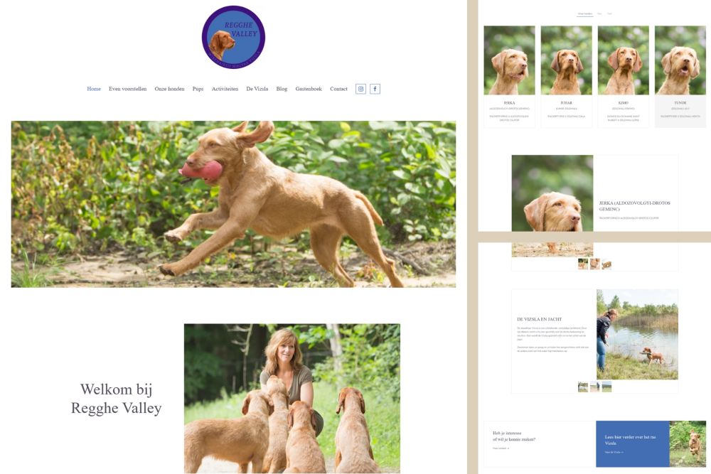 voorbeeld WordPress website gebouw met gebruikersvriendelijke pagebuilder YOOtheme